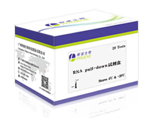 生物素RNA pull-down試劑盒