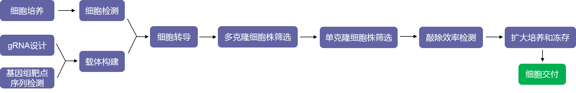 基因敲除單克隆細(xì)胞株構(gòu)建實(shí)驗(yàn)流程-輝駿生物不成功不收費(fèi).png 基因敲除單克隆細(xì)胞株構(gòu)建實(shí)驗(yàn)流程-輝駿生物不成功不收費(fèi).png