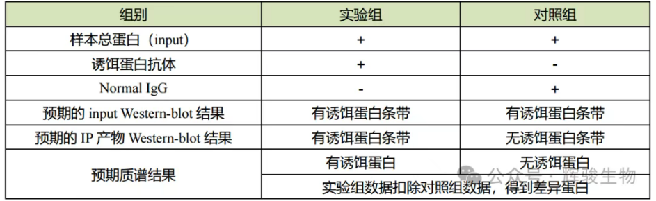 輝駿生物用誘餌蛋白抗體做IP.png