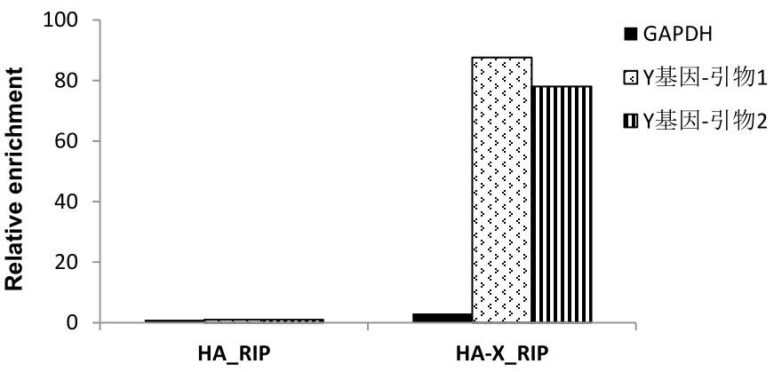 HA-RIP結(jié)果統(tǒng)計(jì)圖.jpg