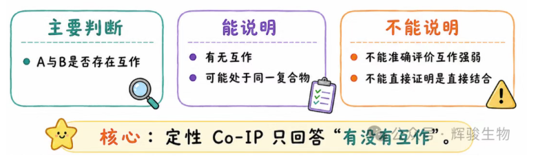 定性Co-IP的應(yīng)用-輝駿生物.png 定性Co-IP的應(yīng)用-輝駿生物.png